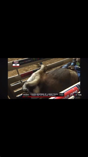 11K views · 435 reactions | Magic Touch took his first trip to the @pbr World Finals serious! @sankeyprorodeo @dragonetics @flex_lewis @derikfay @david.bohlmann.9 @wsm_auctioneers @cinchjeans @americanhatco @pulsepemf @montanaknifecompany @chopper_powersports_mp @quickdrawsafes @phenomgeneticsmerchandise #bullriding #buckingbulls #cowboy #extremesports #rodeo #pbr | Phenom Genetics Inc. | Facebook