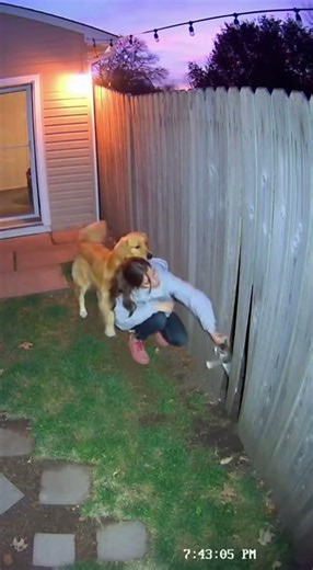 Dog Refused To Come Inside — We Had No Idea Why