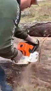 65K views · 1.5K reactions | In this short video my supplier Darin tests out "The King of Firewood" (now it's my saw) Stilhl MS661 pro chainsaw to buck oak log at one of his firewood honey holes. Link to full video is here and in the comments: https://www.facebook.com/JoesPremiumFirewood/videos/388958312307016/ | Joe's Premium Firewood | Facebook
