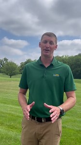 The Andersons Professional Lean & Green Fertilizer 2-0-0 with Iron - Covers up to 5,000 sqft. (18lb. Bag)