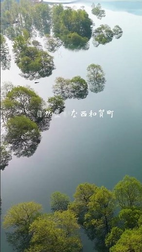 【いわて・西和賀】錦秋湖の水没林 #岩手県 #西和賀町 #錦秋湖 #春 #自然 #癒し