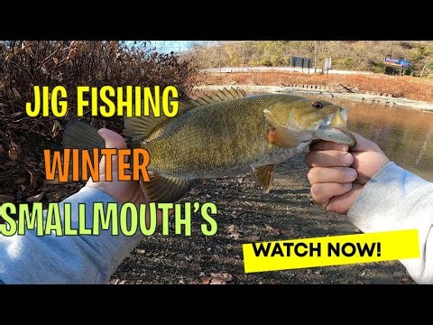 STRIKE KING BITSY BUG FOR WINTER CREEK FISHING