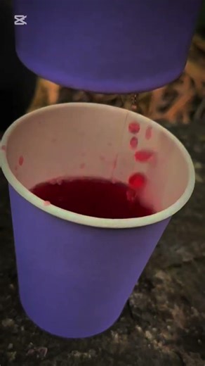How to a drink #survival #adaptablesurvival #bushcraft #creativesurvival #outdoorwork