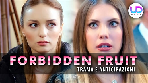 Forbidden Fruit Anticipazioni Turche: Arriva Cansu. Ecco Cosa Nasconde! L'arrivo di Cansu in Forbidden Fruit cambia le carte in tavola: scopri il suo doppio gioco e cosa nasconde davvero. #PecadoOriginal #Cansu #HasanAli #Ender #Sahika #NilperiŞahinkaya #soapopera #drammaturgia #serieTVturca #plotwist | TV Soap - Anticipazioni Soap Opera