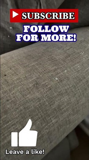 Bed Bugs in a Couch and How to Eliminate Them #bedbugs #greenakerspc #diysolutions