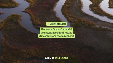 4 Charming Small Towns in Virginia You Need to Visit | @onlyinyourstate