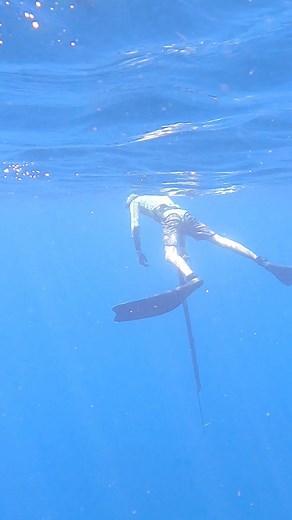 13K views · 182 reactions | Art inspired by a decade on the seas ⛵️#boatlife | Sailing Catalpa | Facebook