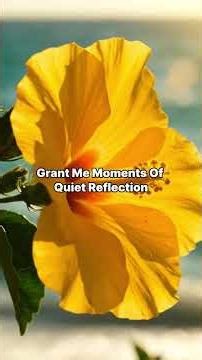 Morning Prayer for New Blessings | Daily Prayer