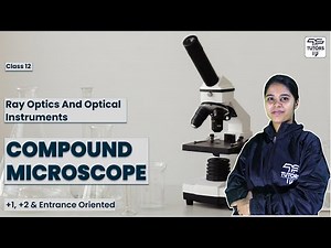 Ray Diagram & Magnification of Compound Microscope | Class 12 | Ray Optics and Optical Instruments