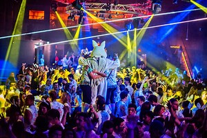 255K views · 1.1K reactions | Coming Soon… More info at: www.BunnyHop.ca Dates & On-Sale Announcements: Monday, February 27 | Bunny HOP | Facebook