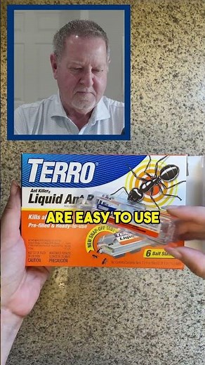 Are Ant Baits The Best Ant Killer?