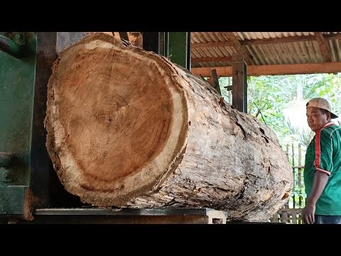 The most satisfying process of sawing large logs | Turning Teak Wood into Building Materials
