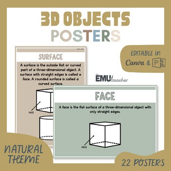 3D Objects / 3D Shapes Posters Natural Key Vocabulary Features Types
