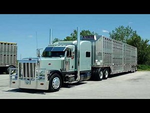 Cattle Haulers Of America #3