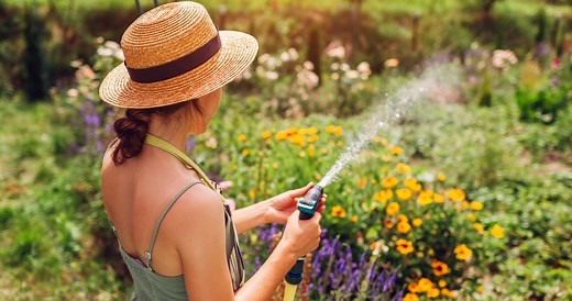 How To Naturally Rid Your Garden Of These 4 Common Pests