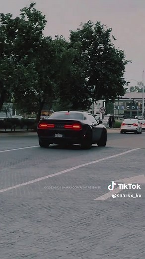 Impressive Dodge Challenger Showcase in 4K