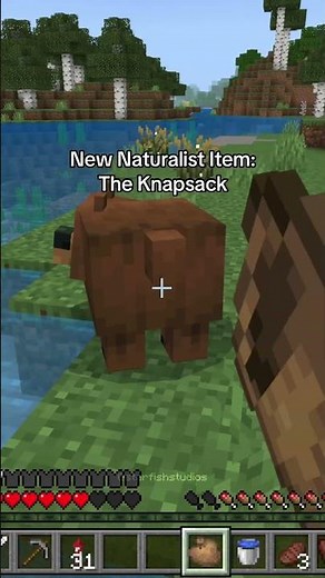 The Knapsack Naturalist 26.1 Update #minecraft #bedrock #addon #naturalist #update