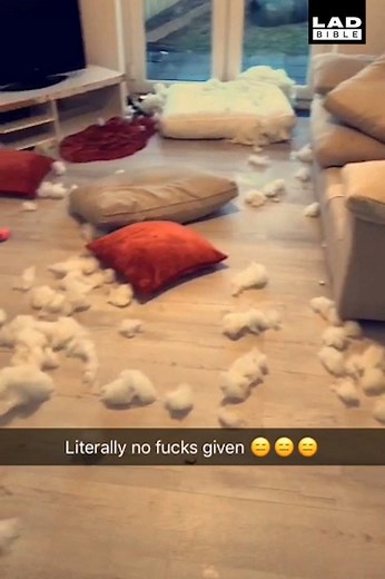 'Yeah I did it. What you gonna do about it?' | LADbible