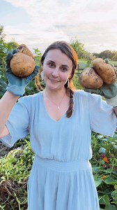 10K views · 249 reactions | In honor of the Ruth Stout method, here is my favorite way to use it. Growing potatoes! Her method is called “gardening without work” for a reason! Saves so much time, energy, and resources. Will you try it this year? | Sunshine Farm | Facebook