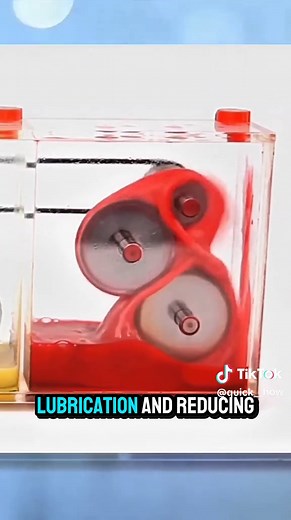 Why High-Quality Engine Oil Matters: A Simple Test 🧐 #viralreelsシ #viral #information #info