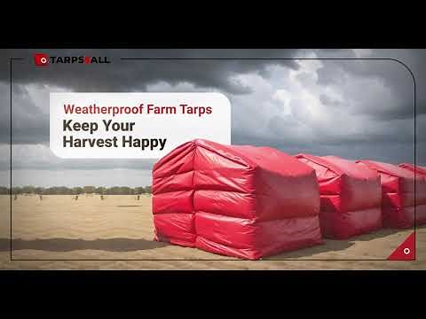 Custom Tarps for Every Need | Design Yours at Tarps&All