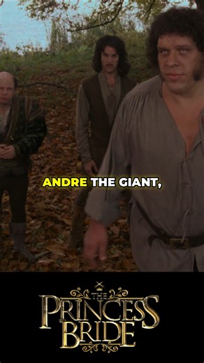 Facts you didn't know about The Princess Bride #movies #moviefact #moviefacts #movietrivia #theprincessbride #andrethegiant | Neon Light Movies