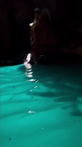 3.5K views · 240 reactions | Puente de Diosy Cascadas de Tamasopo,...