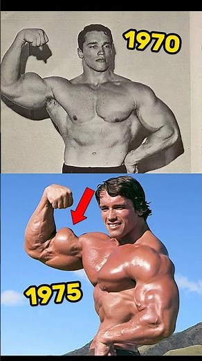 Arnold Schwarzenegger Physique Evolution 💪