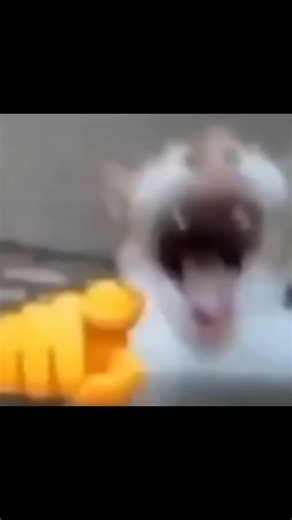 woow #mlbb #mobilelegends #mlbbcreatorcamp #mlbbttofficial #mlbbtiktok #fanny #fyp