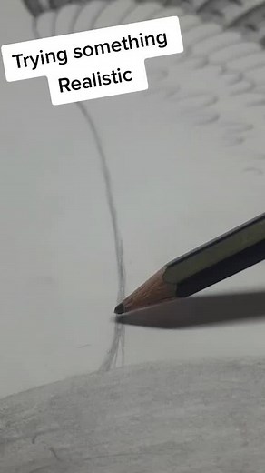 Realistic Barn Owl Drawing Techniques and Tips