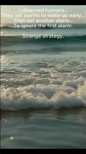 I Observed Humans… This Is Actually Crazy