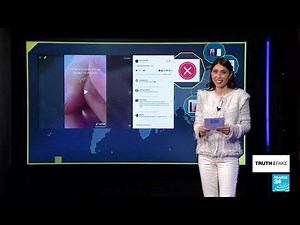 'Genetically modified mosquito' goes viral on TikTok • FRANCE 24 English