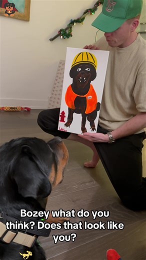 Hilarious Rottweiler Moments That Will Make You Laugh