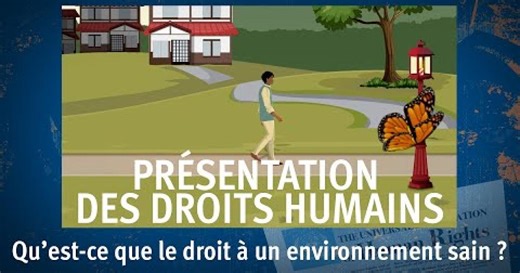Présentation des droits humains (9) : Le droit à un environnement sain