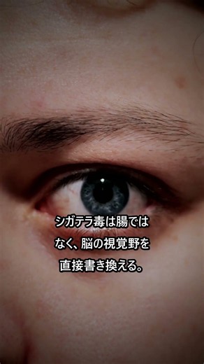 毒魚が見せる別世界