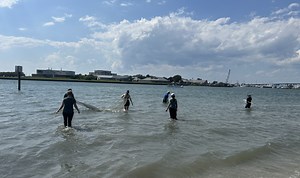 Rachel Carson Scholars Program