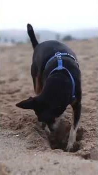 Albert Einstein’s definition of insanity.