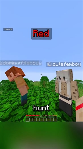 Minecraft Random Color Manhunt Challenge