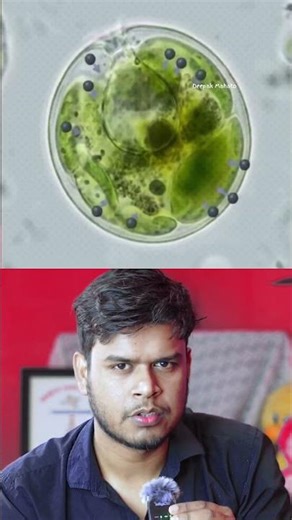 “This Machine Produces Oxygen 🤯 Liquid Tree”