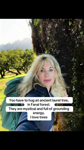 Hug an Ancient Tree in Fanal Forest, Madeira