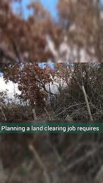 How to PLAN a LAND CLEARING Job 🪓 #shorts #landclearing #lumberjack #woodworking #fyp