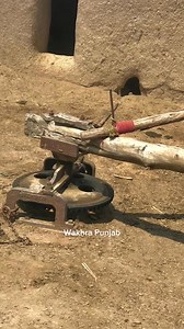 1M views · 4.3K reactions | Full High Speed Chaff Cutter Machine operating With bull #shorts #trendingshorts | Punjab Look | Facebook