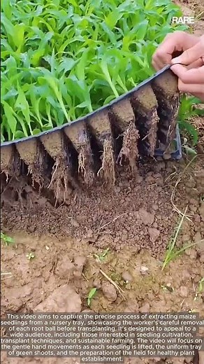 Brick Packaging Process: How to Use Plastic Strapping Tool for Secure Bundles