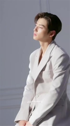 Cha Eunwoo's Mesmerizing Looks: Model & ASTRO Star