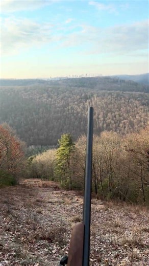 PA bear hunting #hunting #bear