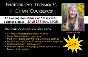 On-Demand Photography Coursepack for Creative Photographers