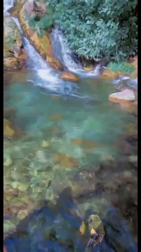 You Won’t Believe How Peaceful Texas Nature Feels… 🌿🇺🇸