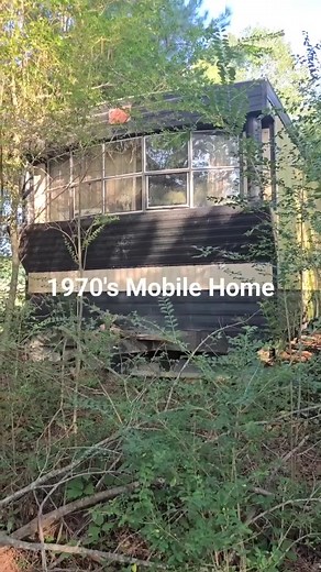 Look what we discovered 😍 This is a 1970's mobile home. | mobilehomesby.georgia