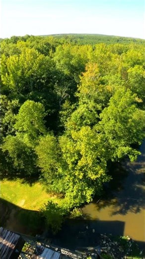 High Bridge Trail View #highbridge #bike #railtrail #gravelride #virginia