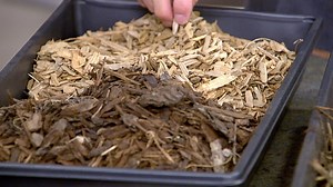 The Benefits of Mulching Your Garden